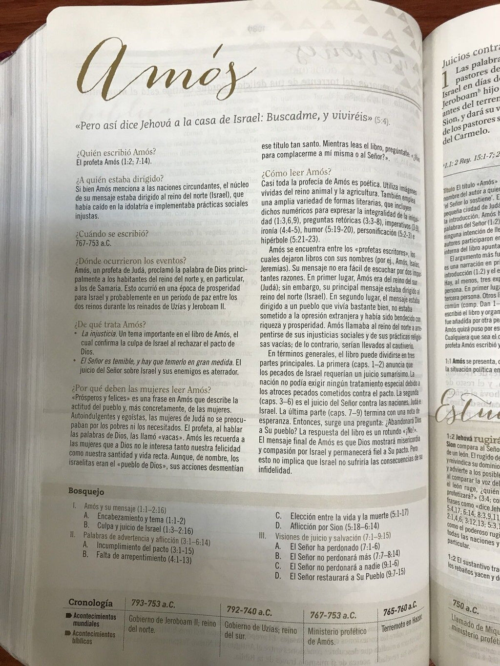 Biblia RVR 1960 de Estudio para Mujer