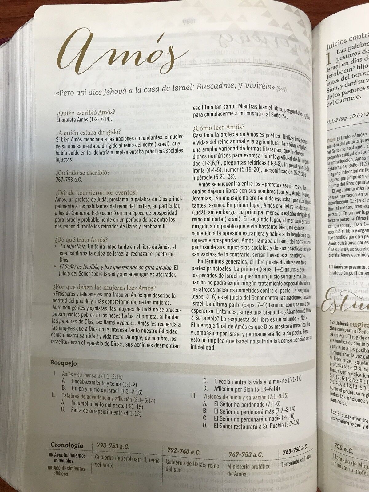 Biblia RVR 1960 de Estudio para Mujer