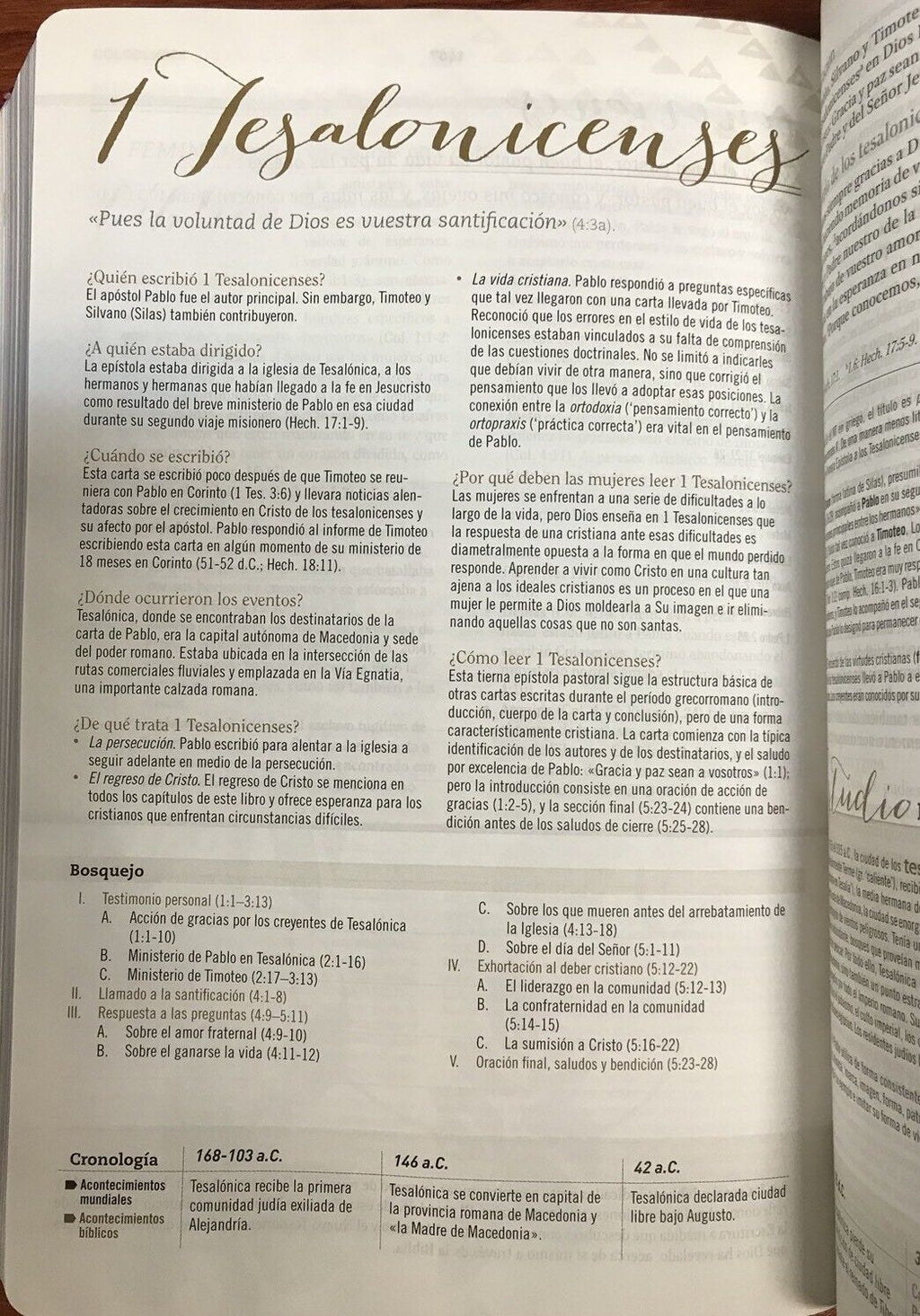 Biblia RVR 1960 de Estudio para Mujer