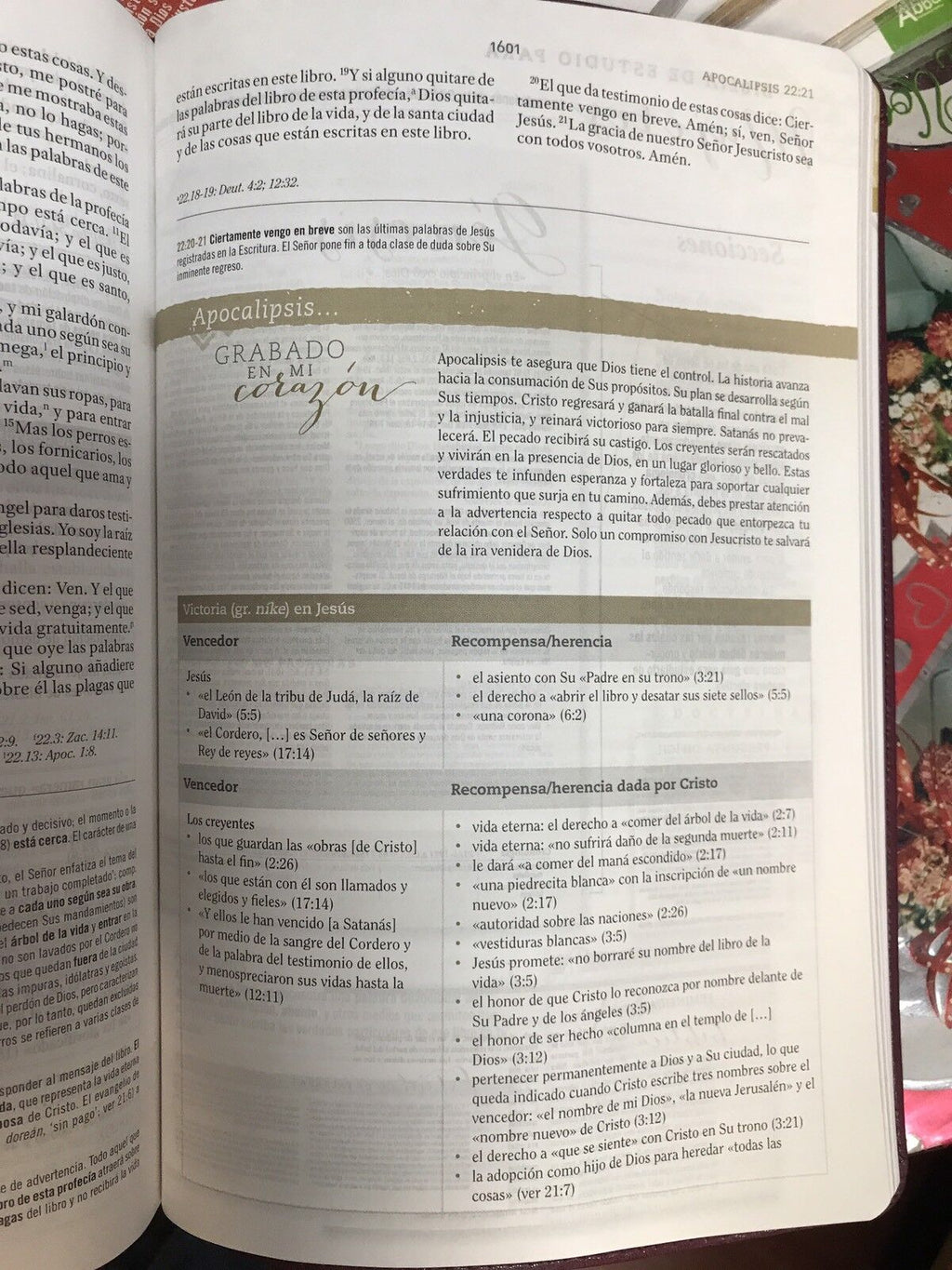 Biblia RVR 1960 de Estudio para Mujer