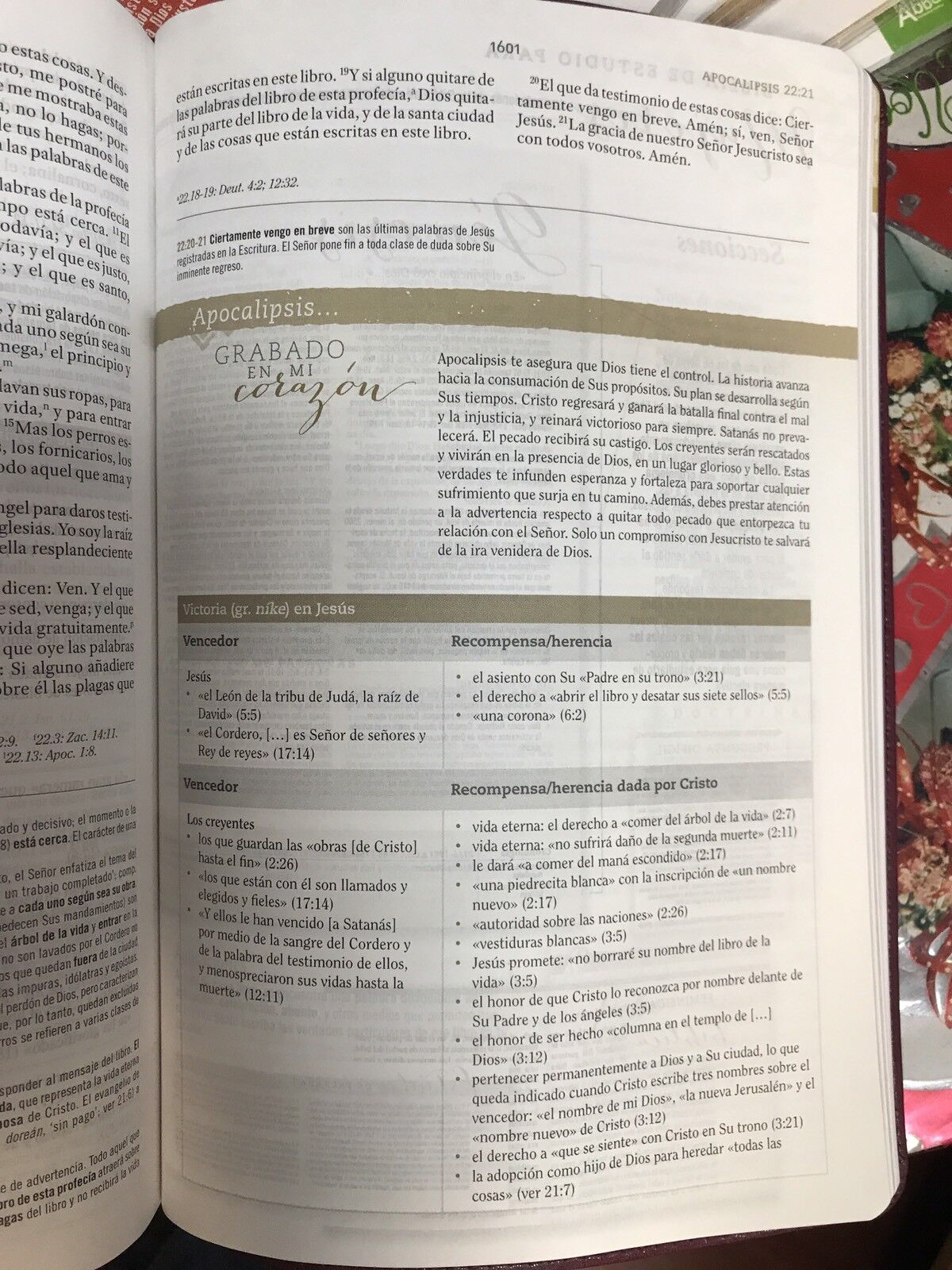 Biblia RVR 1960 de Estudio para Mujer