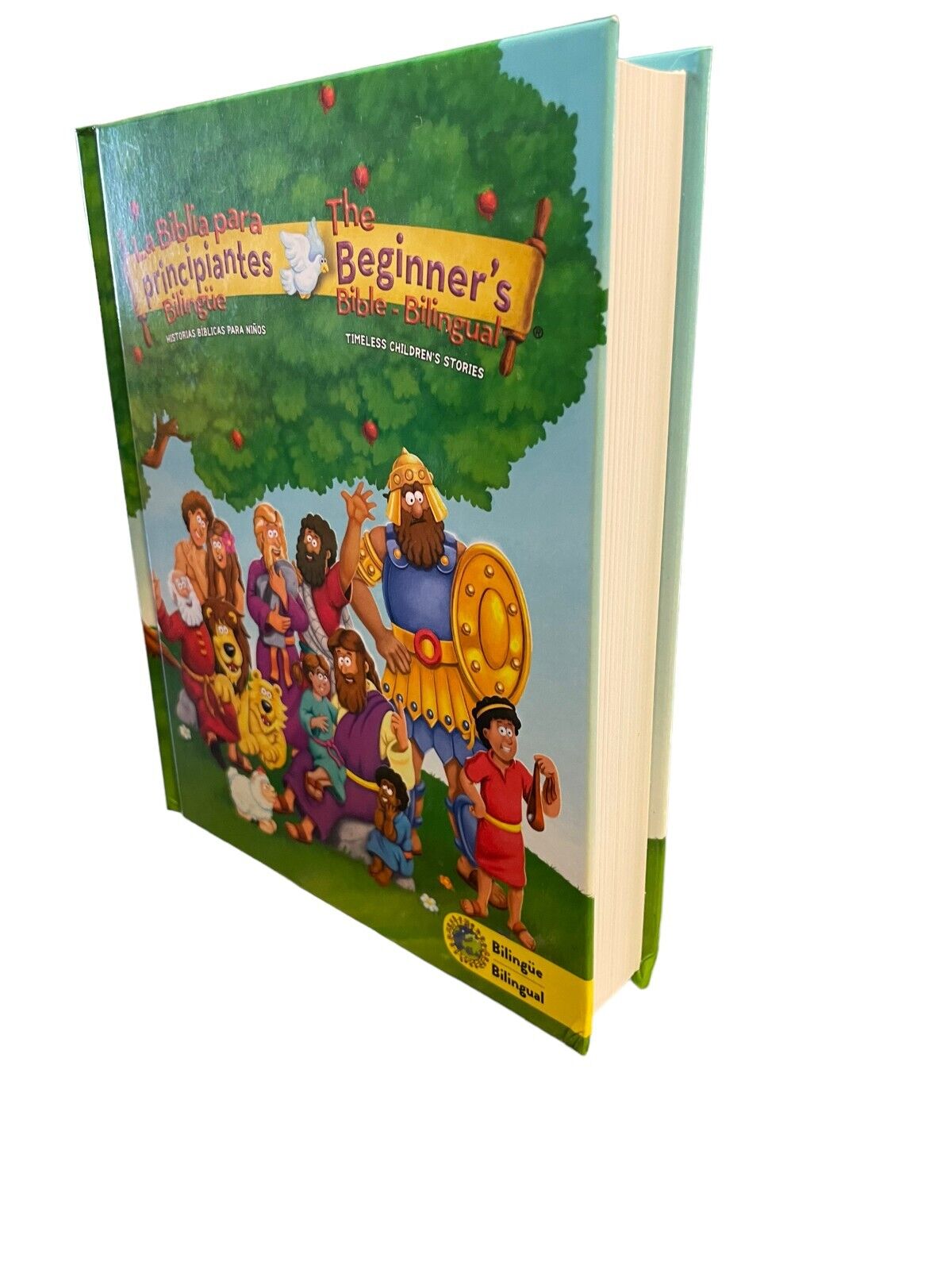 La Biblia para principiantes