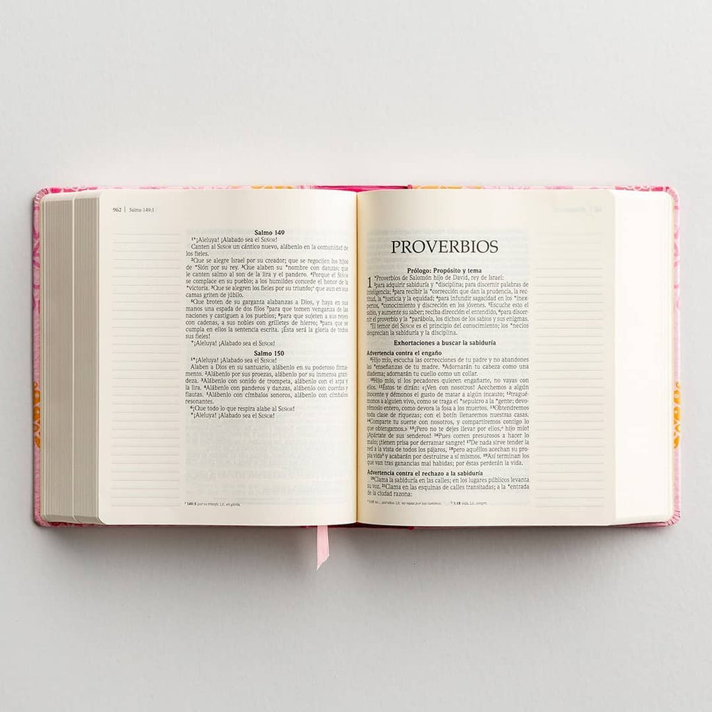 Santa Biblia, edición diario personal - Rosa