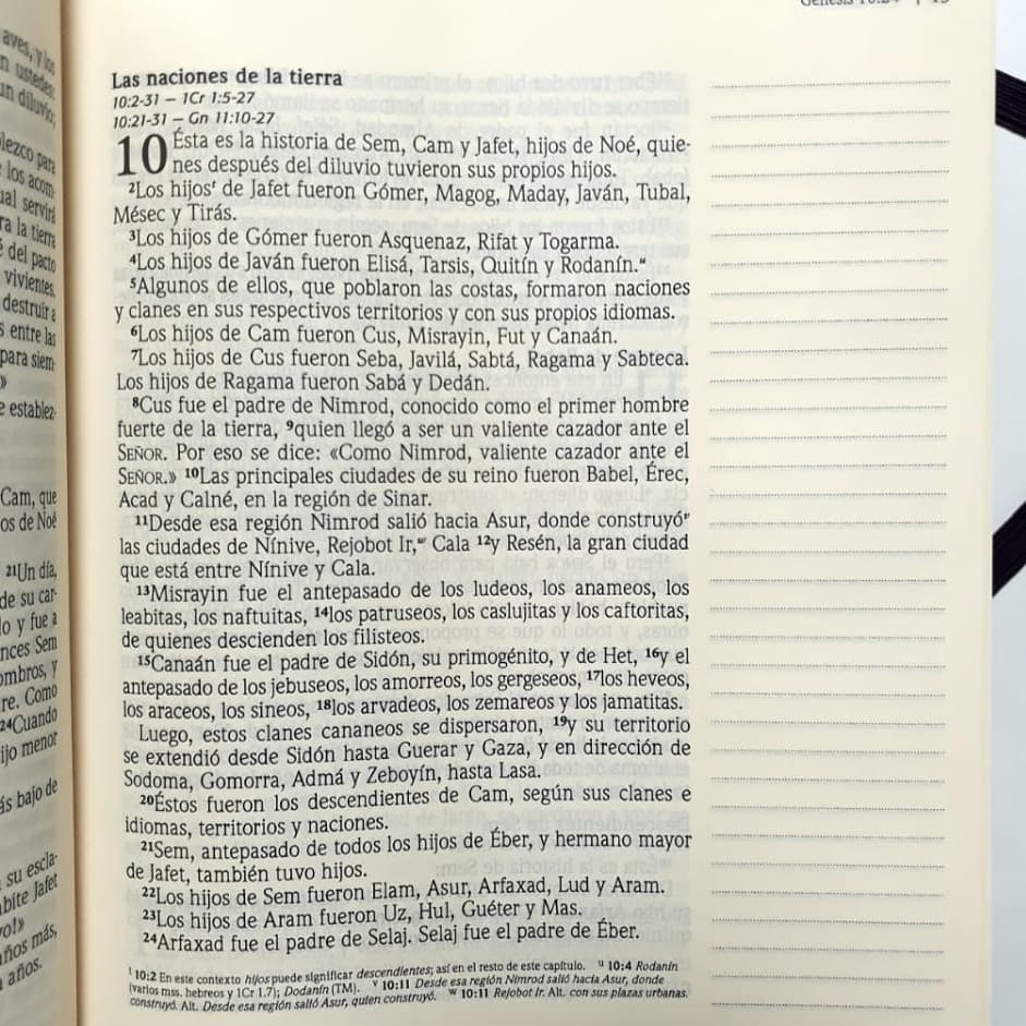 Santa Biblia, edición diario personal - Rosa