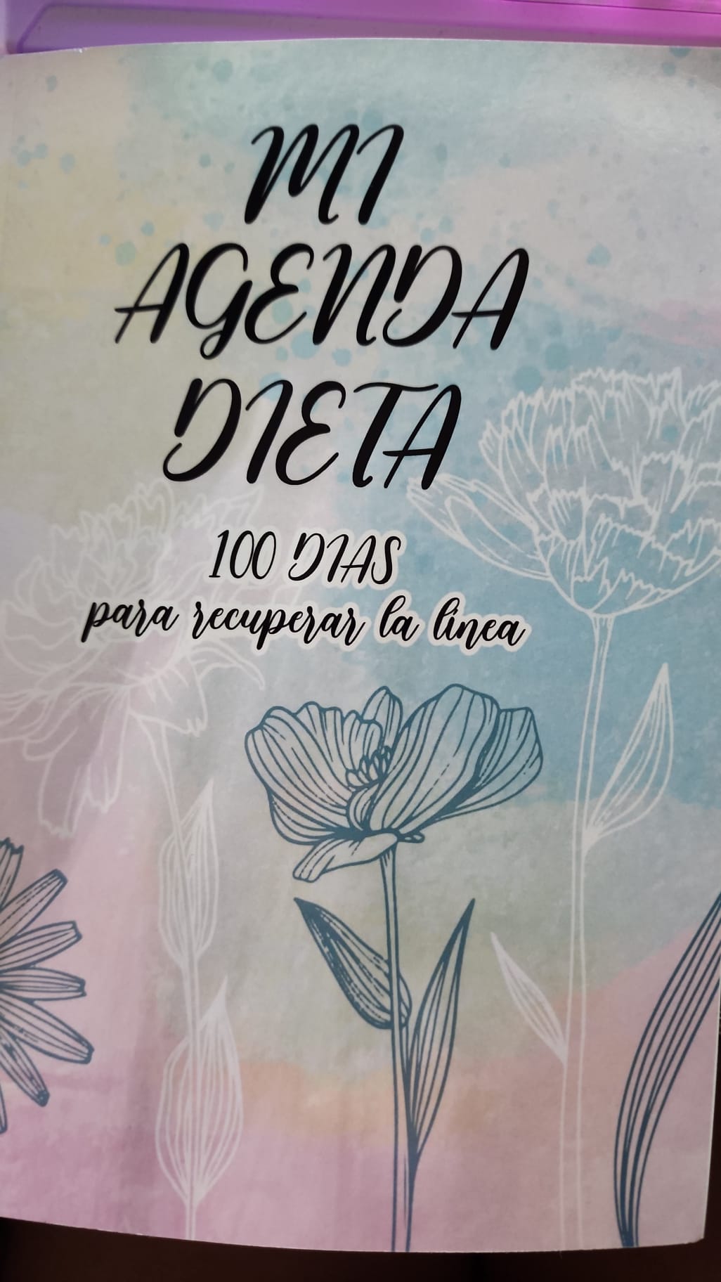 Libro de Registro y Progreso Diario de Dieta