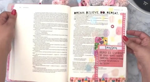 Santa Biblia, edición diario personal - Rosa