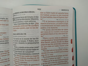NVI Biblia Letra Súper Gigante aqua, símil piel