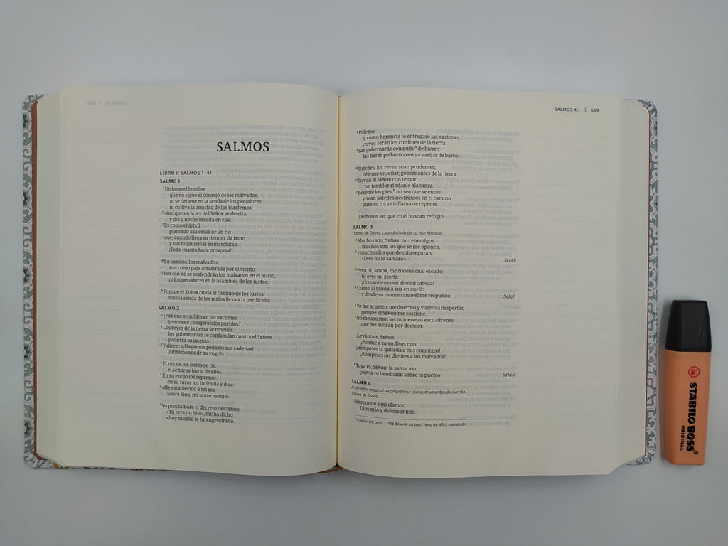 NVI Biblia de Apuntes, azulejos color salvia, símil piel