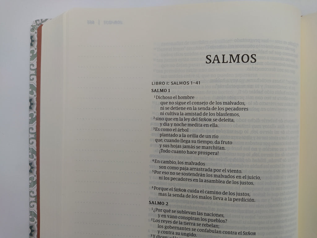 NVI Biblia de Apuntes, azulejos color salvia, símil piel