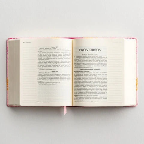 Santa Biblia, edición diario personal - Rosa