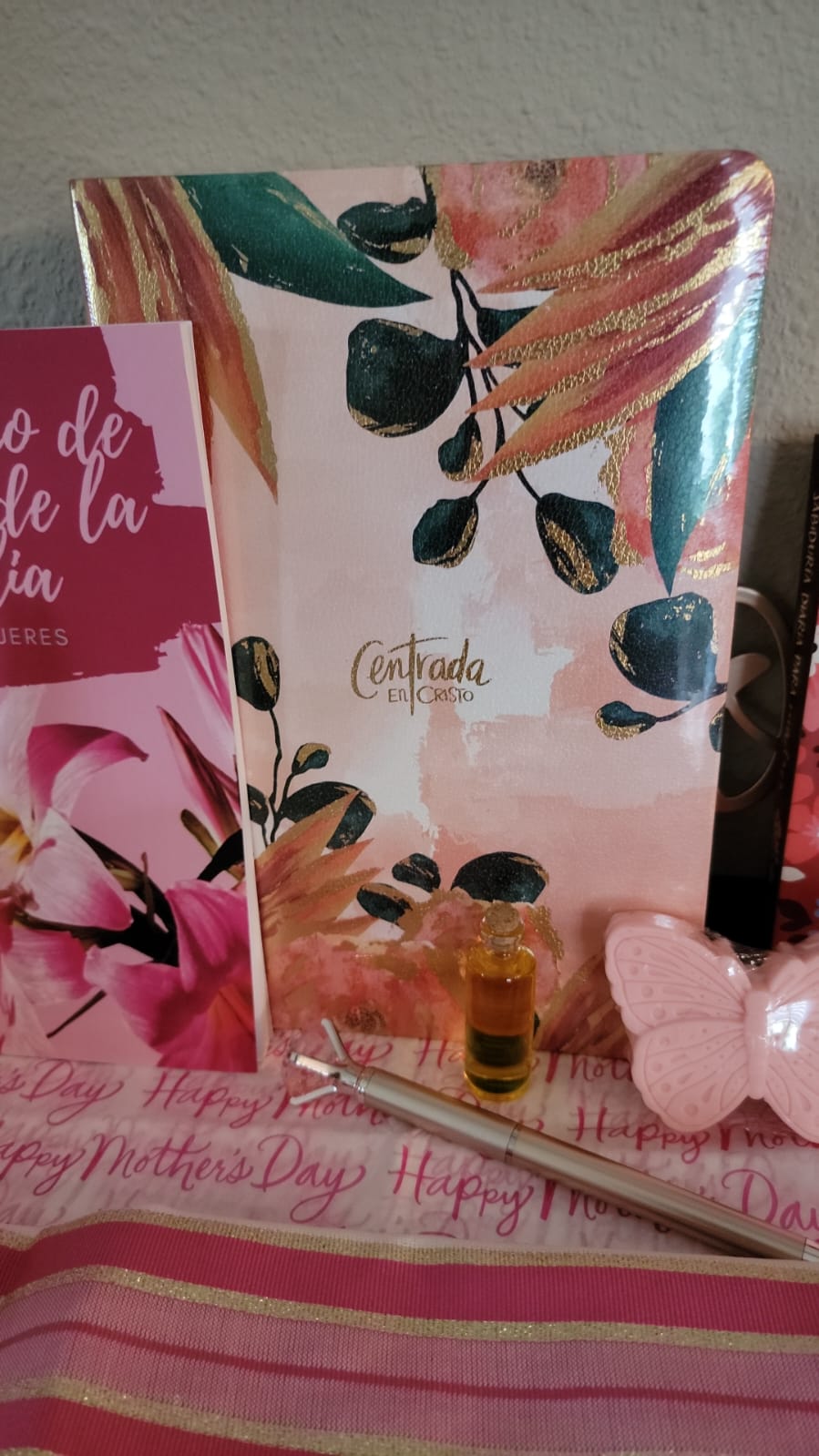 Biblia Centrada en Cristo paquete