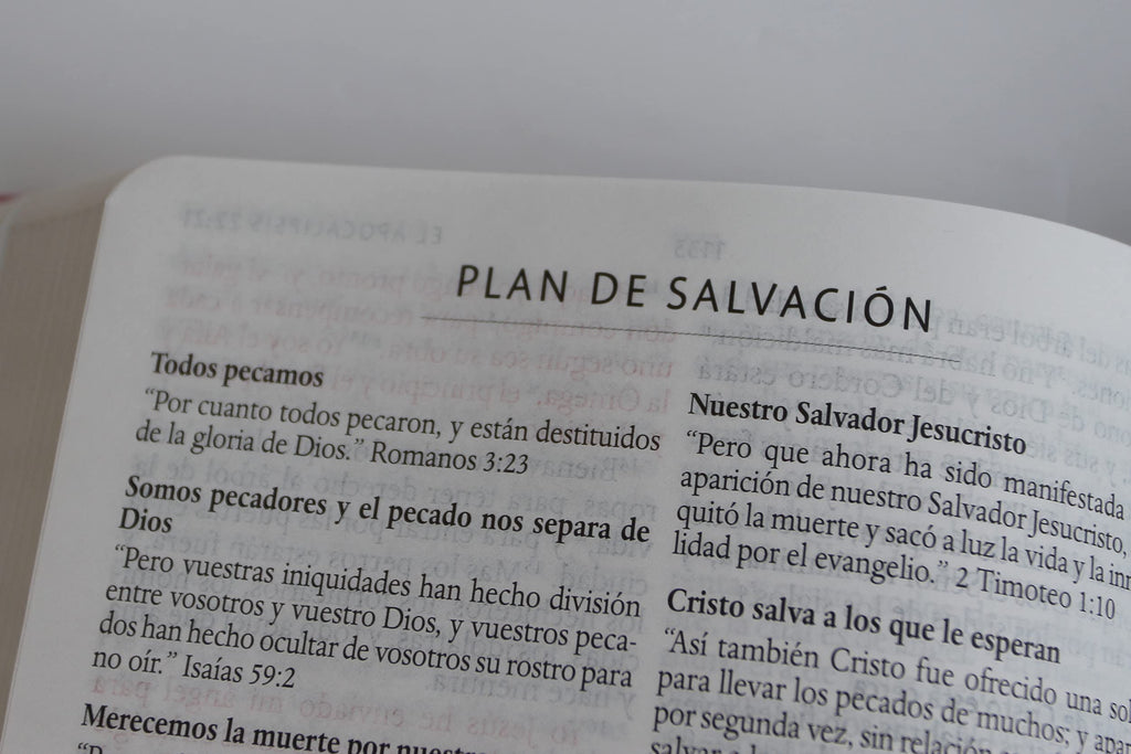 Biblia Reina Valera 1960 letra grande, Tela rosada con flores