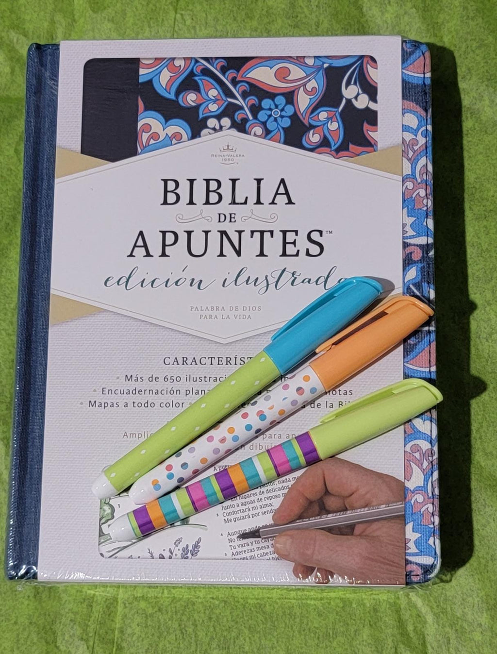 RVR 1960 Biblia de Apuntes Ed. Ilustrada, Tela Rosada y Azul