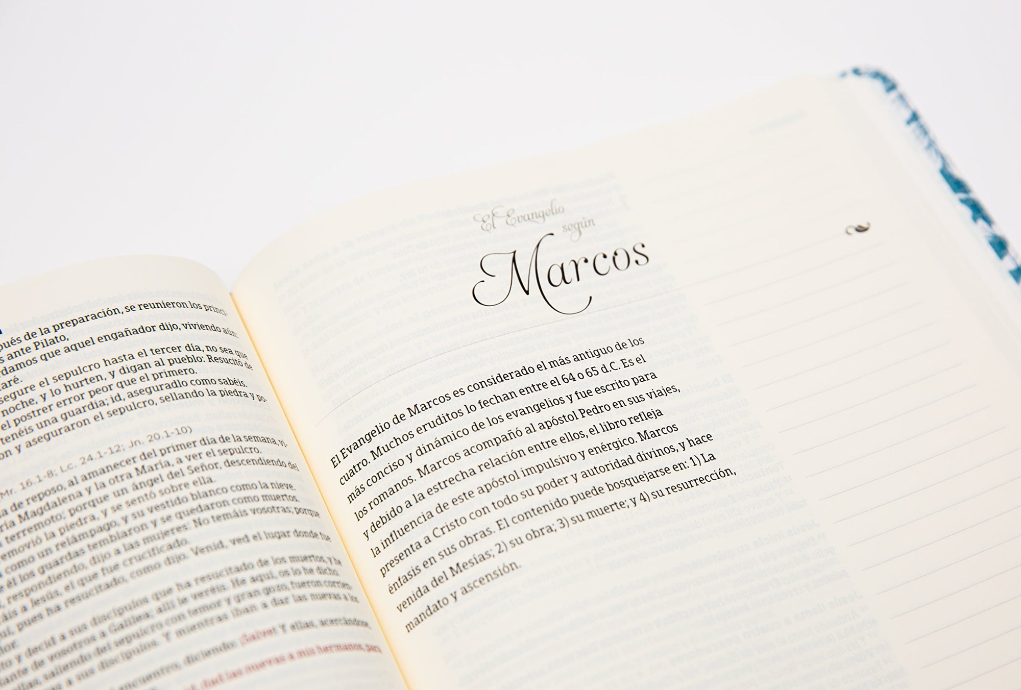 RVR 1960 Biblia de Apuntes Ed. Ilustrada, Tela Rosada y Azul