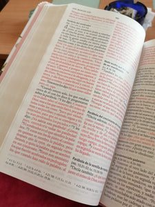 Biblia Reina Valera 1960 letra grande, Tela rosada con flores