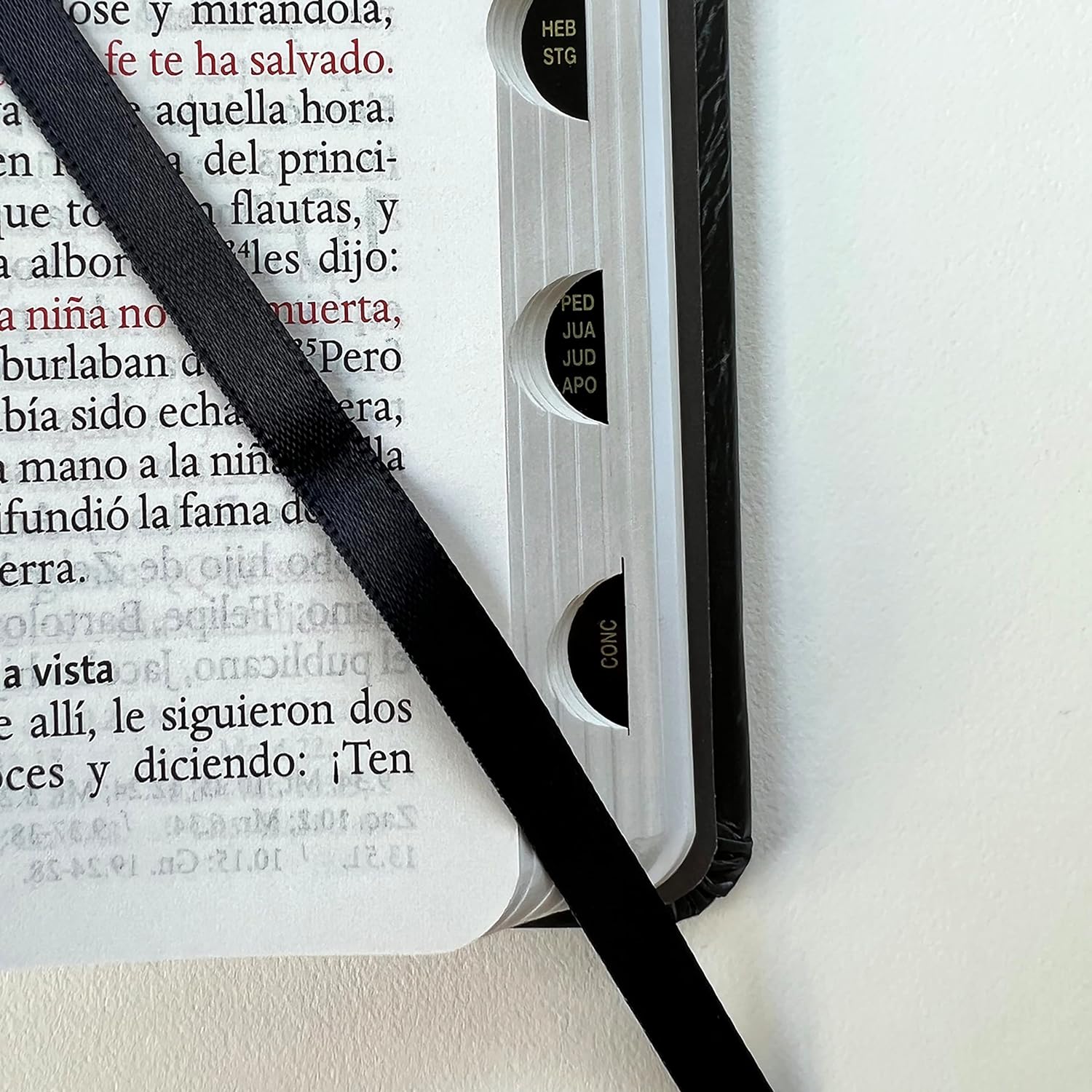 Biblia RVR 1960 letra grande tamaño manual, tapa dura León de Juda con índice / Spanish Bible RVR 1960 Handy Size Large Print Hardcover Lion of Judah with In