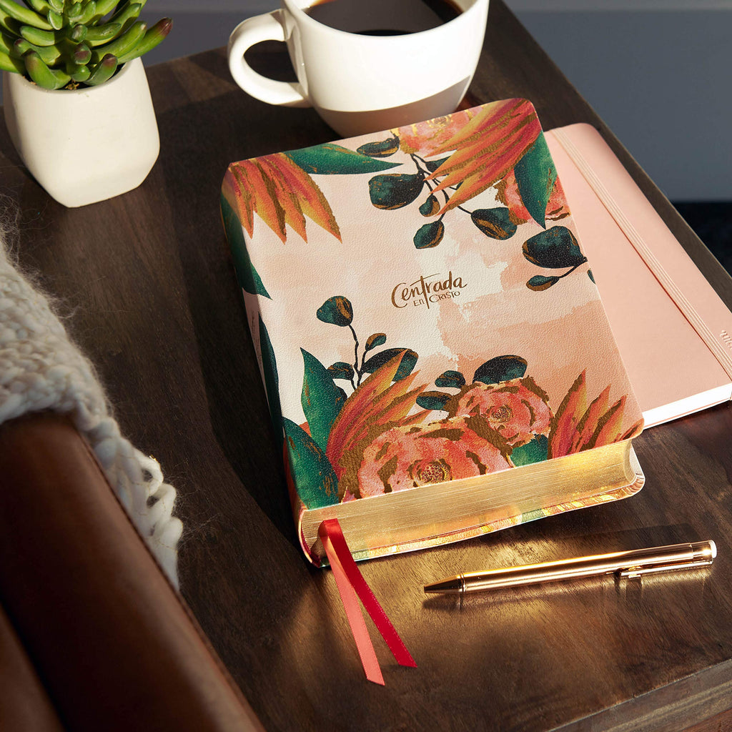 Biblia Centrada en Cristo paquete