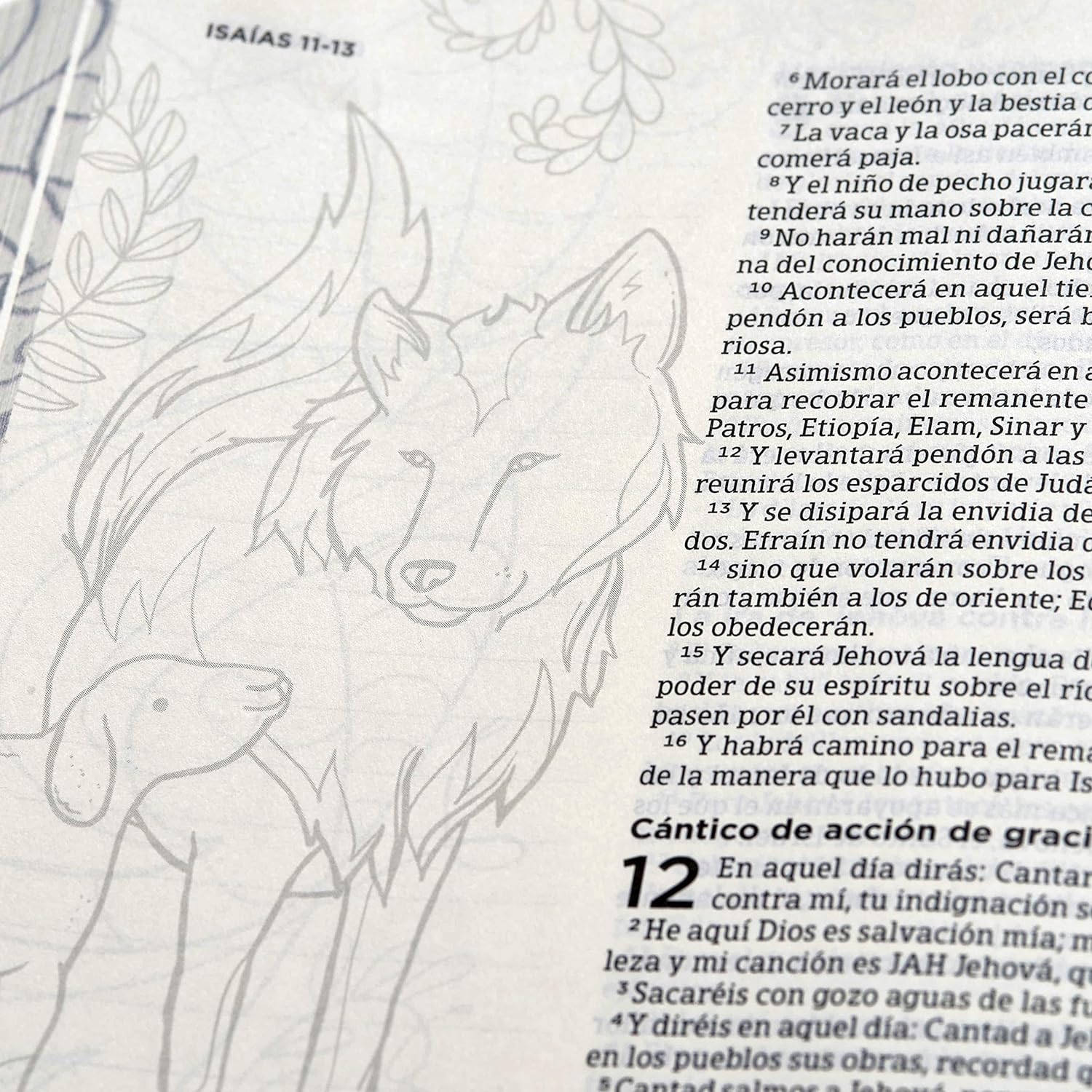 Biblia Reina Valera 1960 de Apuntes, Edición ilustrada. Tela en rosado y azul | RVR 1960 Illustrator’s NoteTaking Bible,Cloth over Board, Blue and Pink (Spanish Edition)