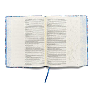 Biblia Reina Valera 1960 de Apuntes, Edición ilustrada. Tela en rosado y azul | RVR 1960 Illustrator’s NoteTaking Bible,Cloth over Board, Blue and Pink (Spanish Edition)