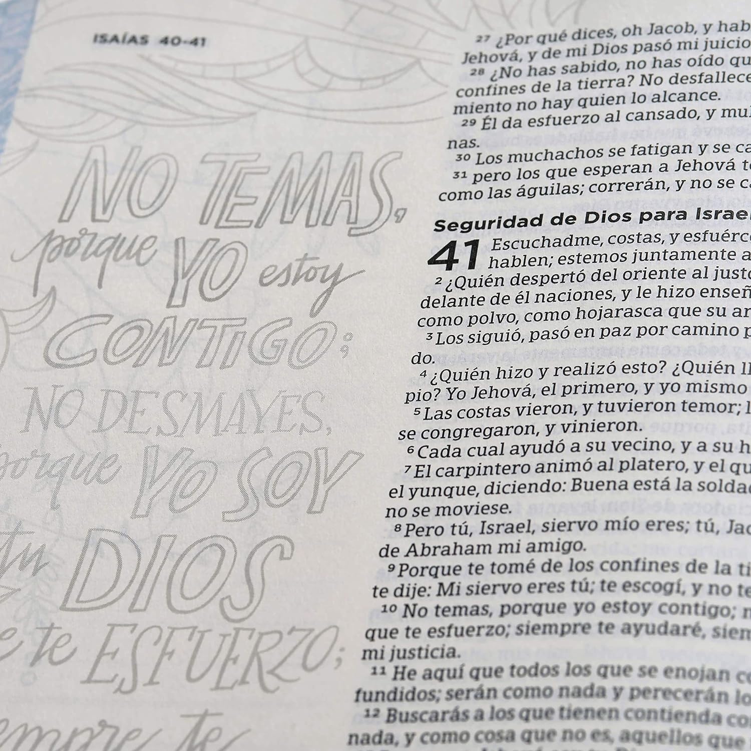 Biblia Reina Valera 1960 de Apuntes, Edición ilustrada. Tela en rosado y azul | RVR 1960 Illustrator’s NoteTaking Bible,Cloth over Board, Blue and Pink (Spanish Edition)