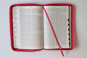 Biblia Reina Valera 1960 letra grande. Símil piel fucsia, cremallera, índice, ma nual / Spanish Bible RVR 1960. Handy Size, Large Print, Leathersoft