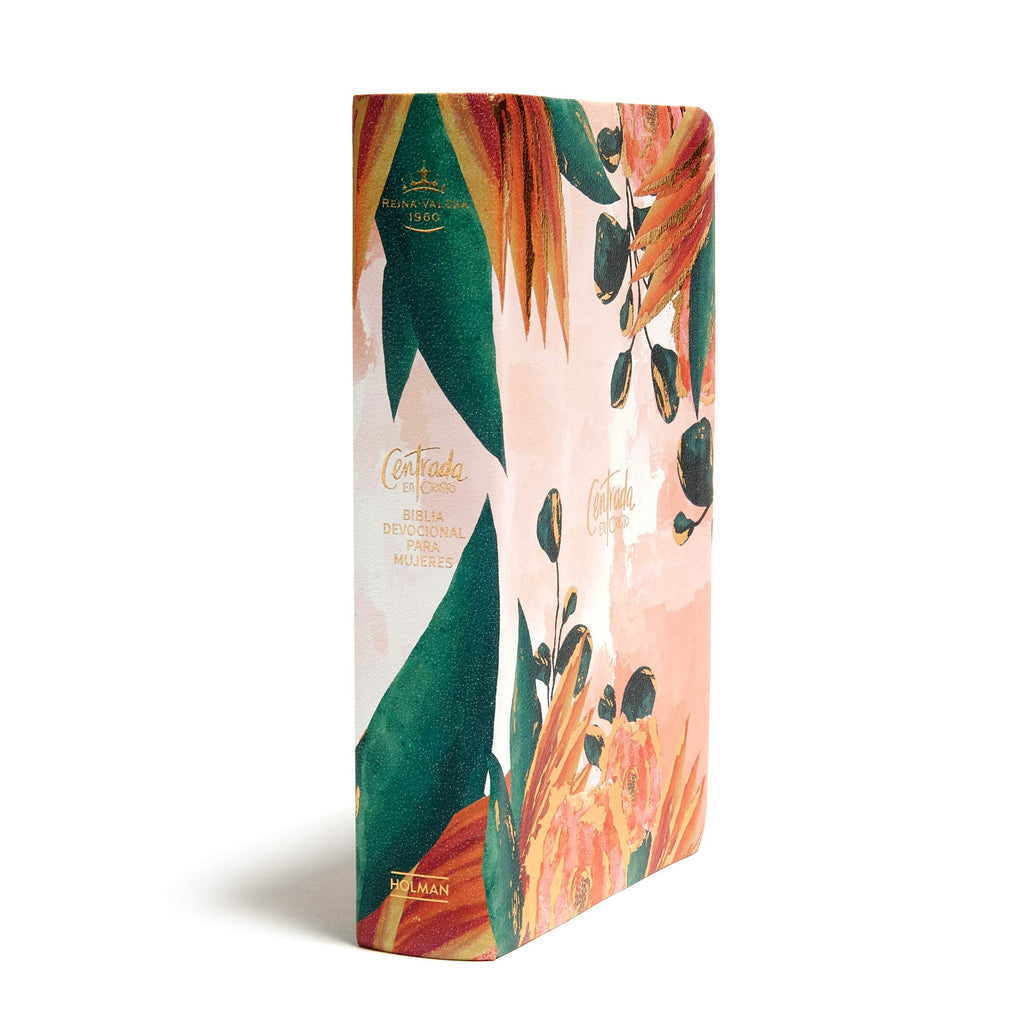 Biblia Centrada en Cristo paquete