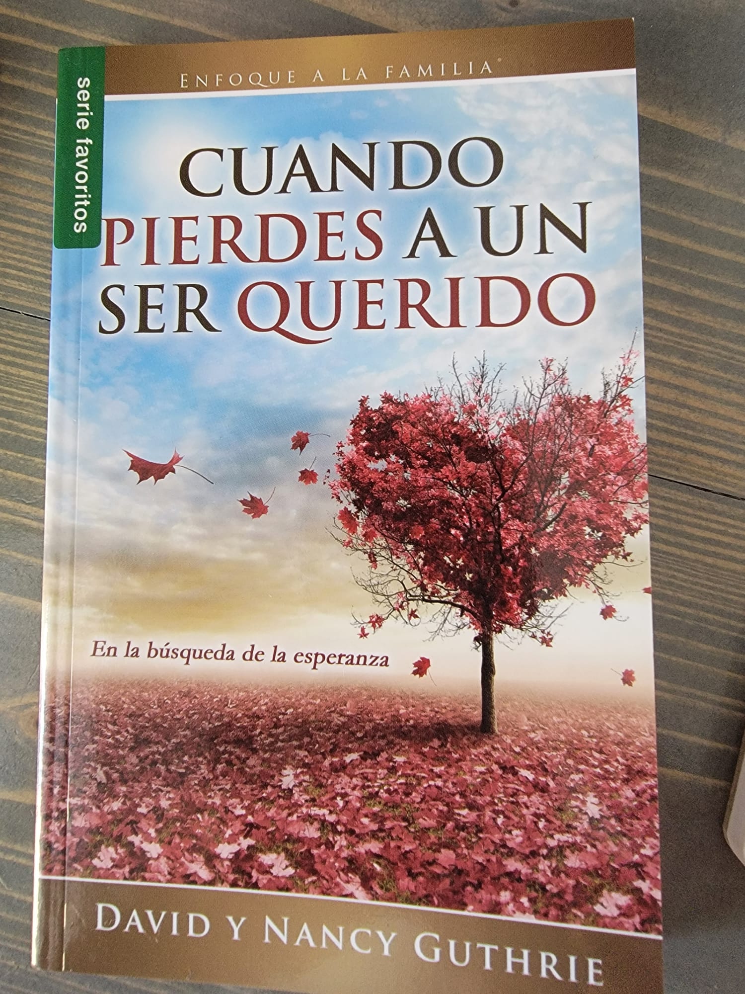 Colleccion Sanidad ante el duelo