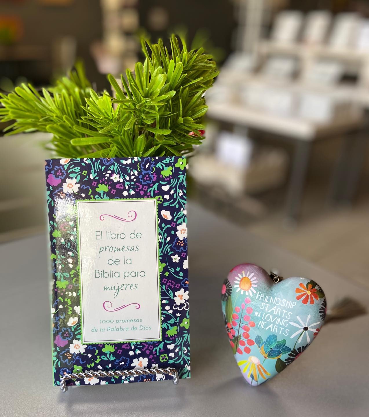 El libro de promesas de la Biblia para mujeres