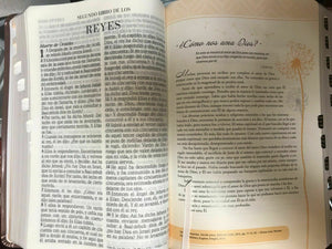 Biblia de promesas Inspira- Oro Rosado - Reina Valera 1960- Letra Grande